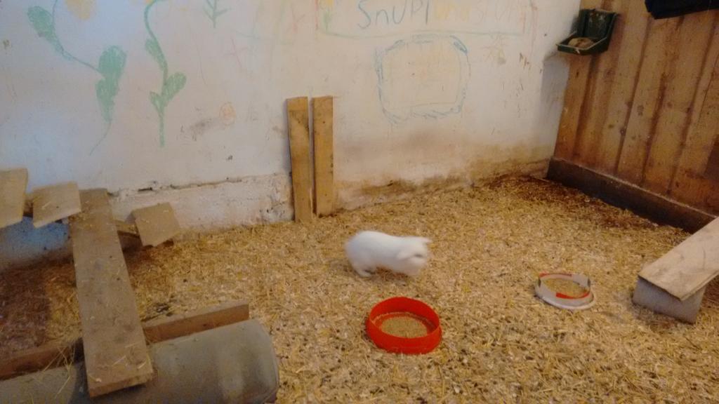 Appartment Iris Aich  Zewnętrze zdjęcie